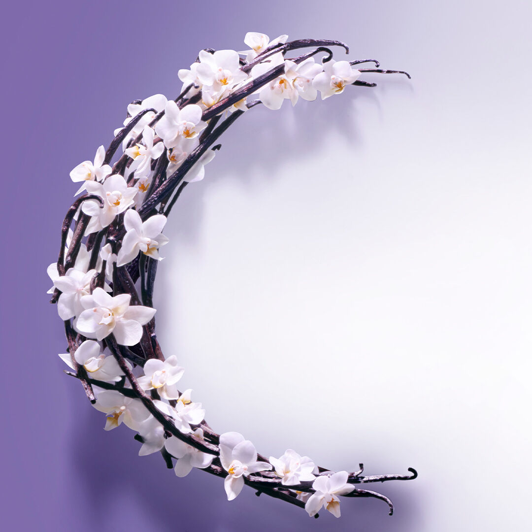 Good Fortune Perfume Gift Set| Viktor & Rolf Official Site